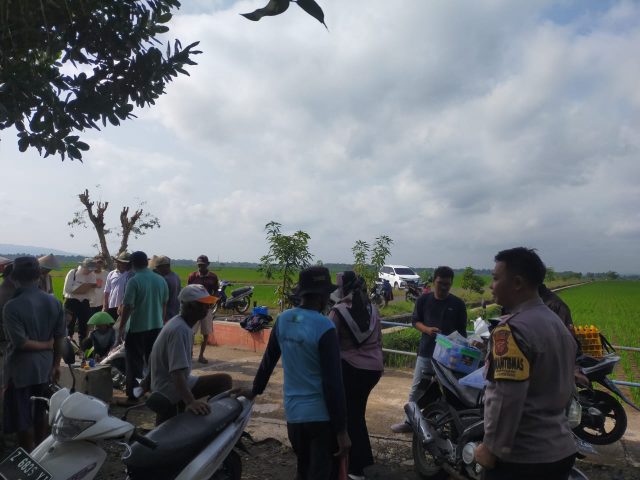 IMG-20220719-WA0047