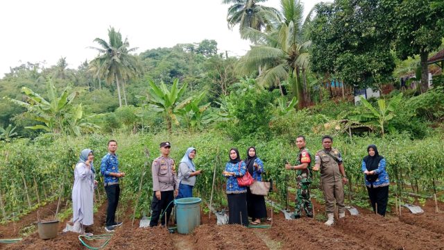IMG-20240719-WA0035