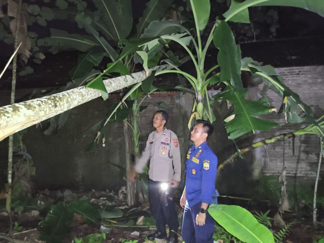 IMG-20251031-WA0065