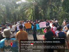 “Harga Ditekan, Hak Dikebiri : Jeritan Petani OKU Timur di Bawah Sistem Agrinas”