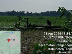 Cuaca Ekstrem 14 Tiang Listrik Roboh di Pangandaran, PLN Percepat Pemulihan