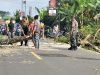 Mitigasi Bencana, Polsek Cijeungjing dan Warga Pamalayan Pangkas Pohon di Jalan Raya Nasional