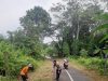 Polsek Cijeungjing Polres Ciamis Bareng Warga Kerja Bakti Bersihkan Lingkungan Cisihung