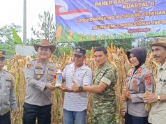 Polres Ciamis Gelar Panen Raya Jagung Serentak untuk Dukung Swasembada dan Ketahanan Pangan Nasional