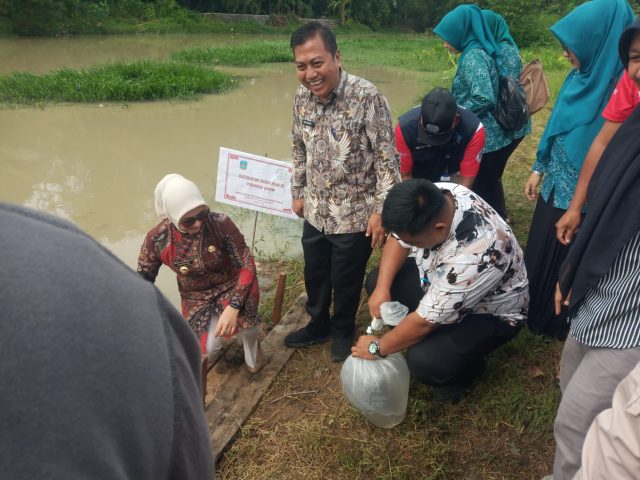 IMG-20260522-WA0086