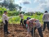 Polsek Ciamis Dukung Swasembada Pangan Melalui Penanaman Jagung Serentak