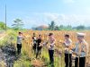 Dukung Ketahanan Pangan Nasional, Polsek Cikoneng Bersama Petani Panen Jagung 7 Ton di Desa Cikoneng