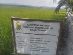 Rehabilitasi Jaringan Irigasi di Desa Sukajadi Mulai Dilaksanakan, Dukung Produktivitas Pertanian dan Ketahanan Pangan