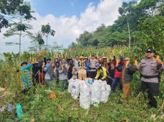 Ketahanan Pangan, Polsek Panjalu Ikut Bersama Poktan Langen Sari Panen Raya Jagung