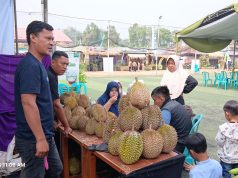 Durian Kalijaya Tetap Jadi Primadona HKP ke-54, Ratusan Buah Ludes Diserbu Pengunjung