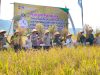Polres Ciamis Perkuat Sinergi Dukung Ketahanan Pangan Melalui Panen Padi Organik dan Peresmian Klaster Pertanian di Pamarican
