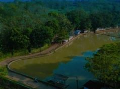 Situ Halimun Warungkiara Dikembangkan Menjadi Bumi Perkemahan Raksasa Berkapasitas 10.000 Orang
