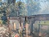 Diduga Dipicu Pembakaran Sekam, Rumah di Sukadana Ludes Terbakar, Kerugian Capai Rp.500 Juta