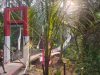 Jembatan Gantung Pongpet Anjlok Saat Rombongan Pejabat Melintas, Aparat Pastikan Tidak Ada Korban Jiwa