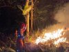 Kebakaran Lahan Perhutani di Banjaranyar Ciamis Hanguskan 2 Hektare