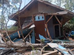 Polsek Cisaga Gerak Cepat Cek TKP Pohon Jati Tumbang Timpa Rumah Warga