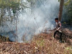 Polsek Lakbok Bersama Damkar dan Warga Bergerak Cepat Padamkan Kebakaran Lahan di Sidaharja