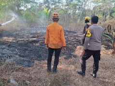 Polsek Cijeungjing Bersama Damkar dan Warga Bergerak Cepat Padamkan Kebakaran Lahan Bambu