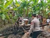 Polsek Pamarican Turun Gotong Royong Bedah Rumah Warga Terdampak Gempa di Sukamukti