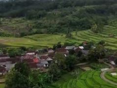 Desa Bojongkerta, Warungkiara Siap Menjadi Sentra Pertanian dan Pusat Ekonomi Agrikultur Kabupaten Sukabumi