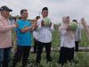 Panen Perdana Semangka di Gegempalan Diserbu Warga, BUMDes dan Gapoktan Dorong Ketahanan Pangan